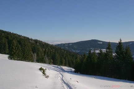 Schneeschuhwandern (20090104 0017)